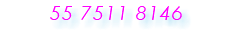 55 7511 8146