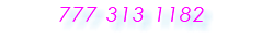  777 313 1182 