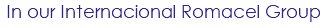 In our Internacional Romacel Group