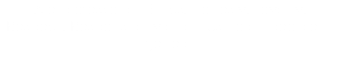 Are professional Ethics, Honesty, Loyalty, Respect, Responsibility and Trust to all people in general