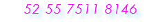 52 55 7511 8146