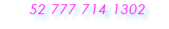  52 777 714 1302